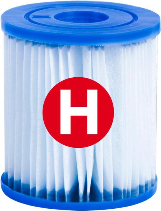 Actual product image Intex Filter cartridge H