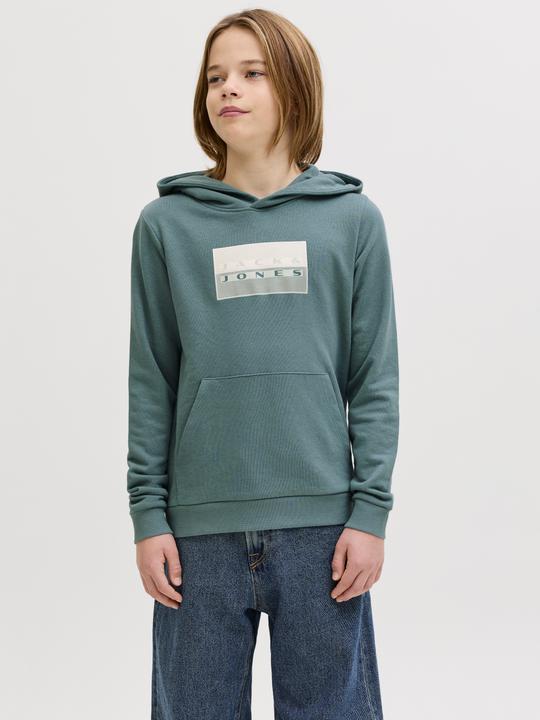 Produktbild Jack & Jones Jcofusion Graphic Sweat Hood Sn Jnr (152)