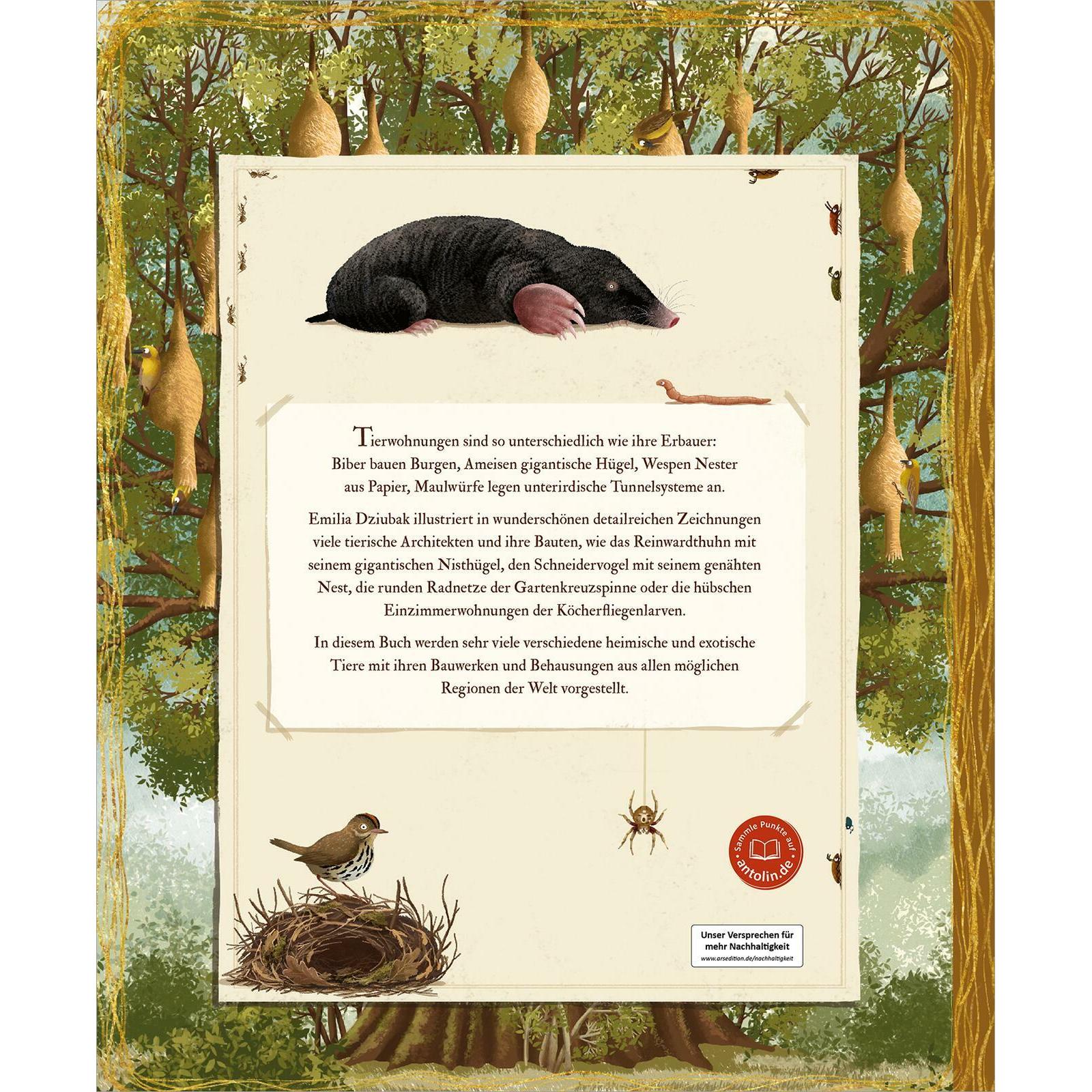 Thumbnail - Tierisch gut gebaut – Von Nestern, Höhlen und anderen Tierwohnungen, Kinderbücher von Thomas Weiler, Emilia Dziubak