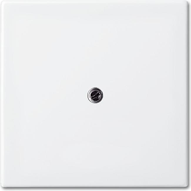 Actual product image Busch-Jaeger Central plate VDO outlet 2536-914 alpine white Busch-balance SI