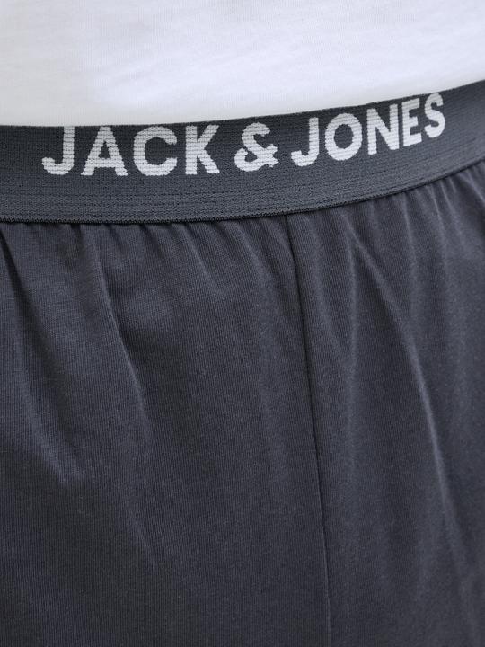 Produktbild Jack & Jones Regular Fit Shorts Shorts (L)