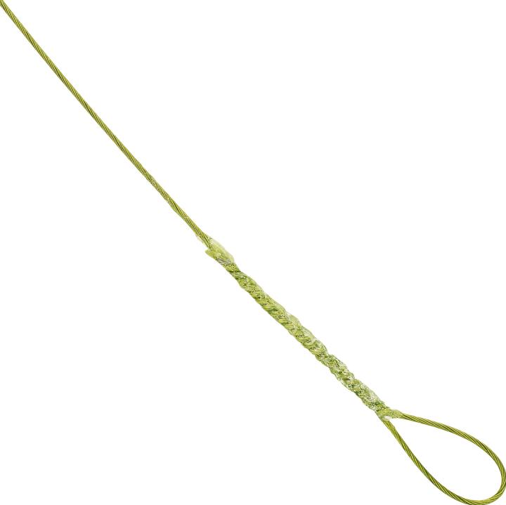 Immagine prodotto Caperlan Leader in acciaio Leader Ryderhook (40 cm)