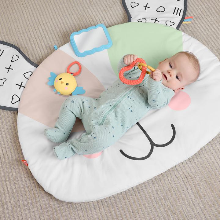 Image du produit Fisher-Price – Tapis de Jeu Géant Chiot