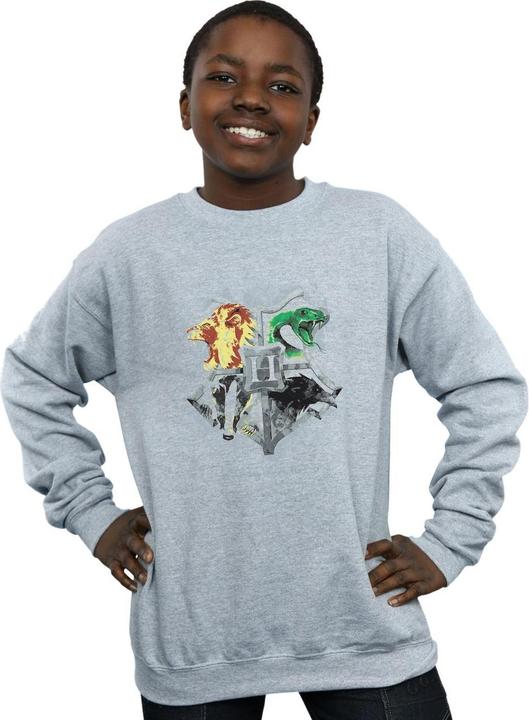 Produktbild Hogwarts Painted Crest Sweatshirt Jungen (128)