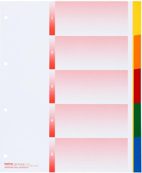 Actual product image Kolma Index A4 XL strong blank 5-piece coloured