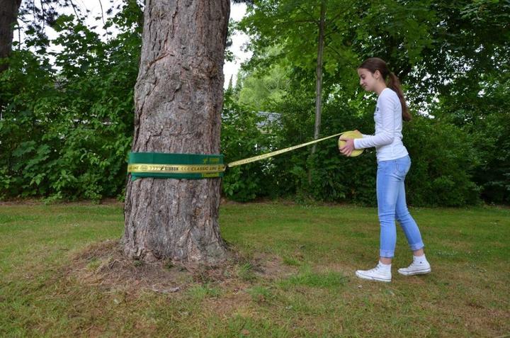 Actual product image Gibbon Treewear (1 m)