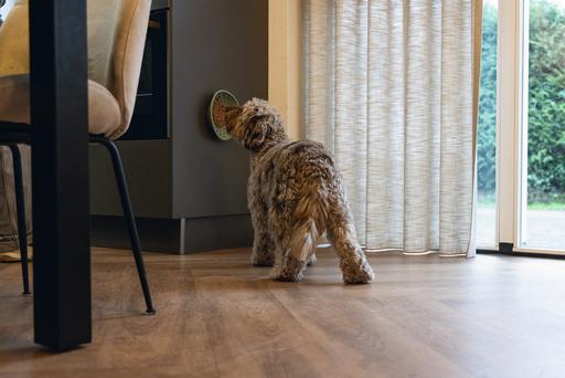 Actual product image Beeztees Leak mat tray