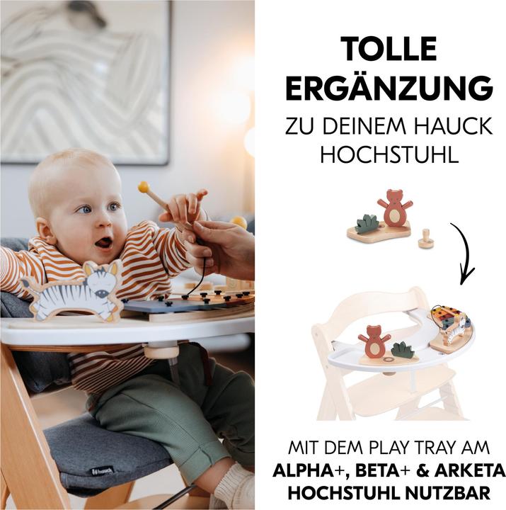 Produktbild Hauck Play Shaking S