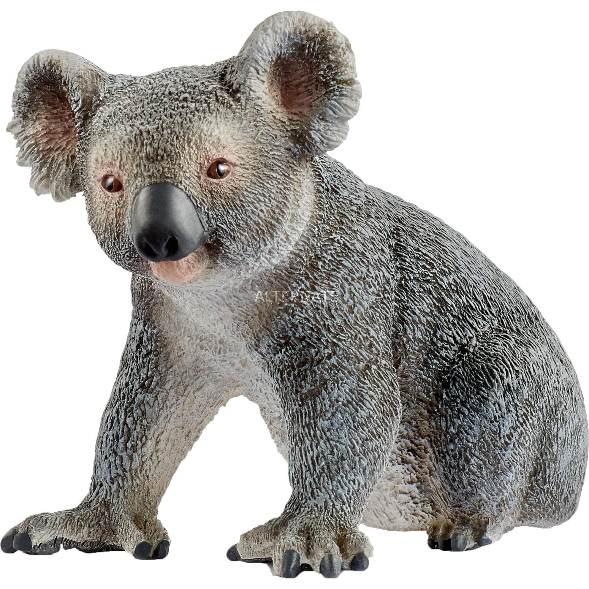 Schleich Koala