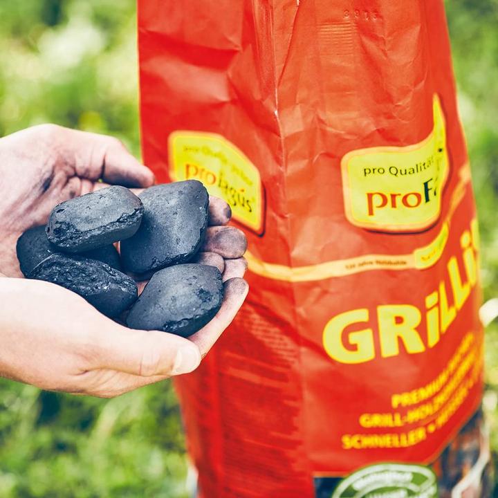 Actual product image ProFagus Charcoal briquettes (10 kg)