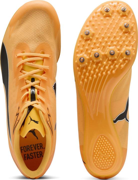 Image du produit Puma evoSPEED Brush 7 (37)