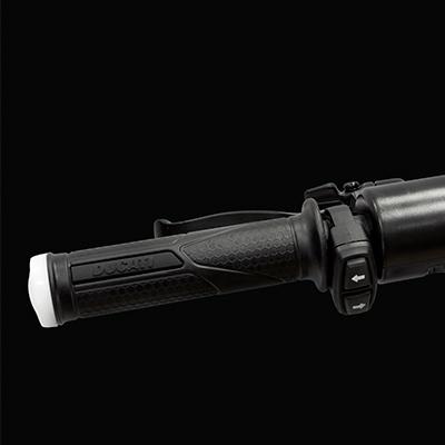 Immagine prodotto Ducati E-Scooter Pro-III (25 km/h, 50 km, 350 W)