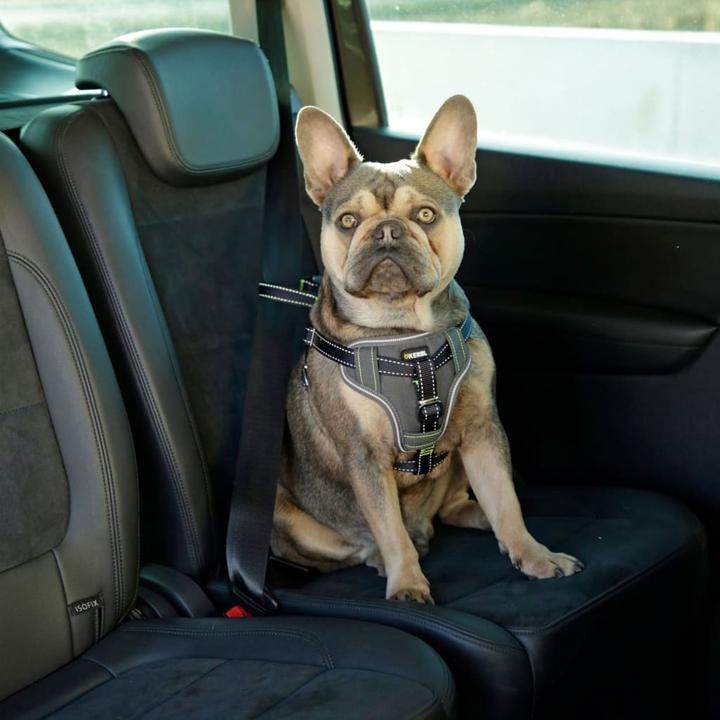 Produktbild Kerbl Autosicherheitsgeschirr (Hund, Faltbar, Sicherheitsverschluss)