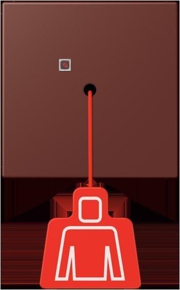 Actual product image JUNG Pull switch