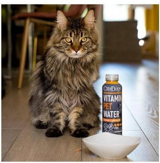 Produktbild Cats Dogs Vitamin Water (Senior, 6 Stk., 3000 g)