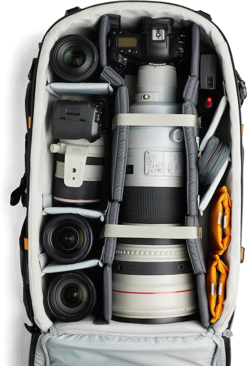 Actual product image Lowepro Pro Trekker BP 650 AW II (GRL) (Photo backpack, 34 l)