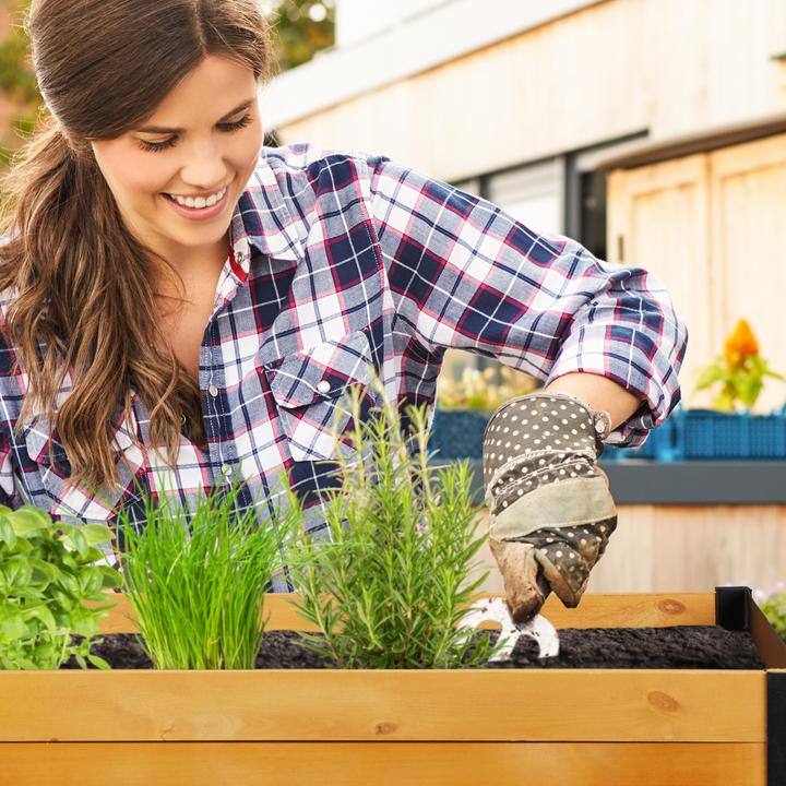 Image du produit Relaxdays Carré potager