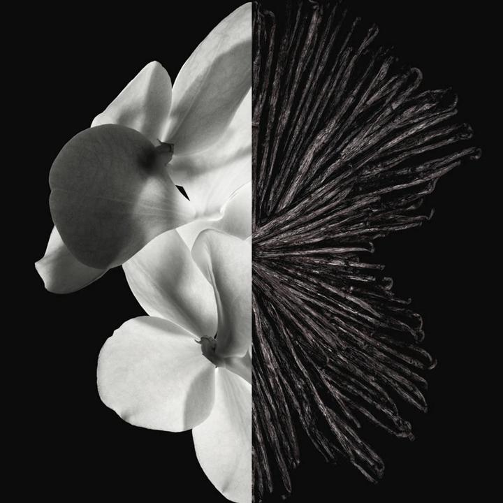 Immagine prodotto Givenchy Gentiluomo (Eau de parfum, 60 ml)