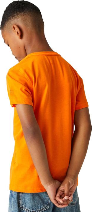 Immagine prodotto Regatta Bosley VII Maglietta Tavola da Surf Bambini (128)