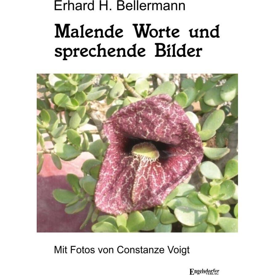 Bellermann:Malende Worte und sprechende, Belletristik von Engelsdorf