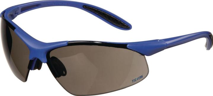 Tecwerk Schutzbrille DAYLIGHT PREMIUM