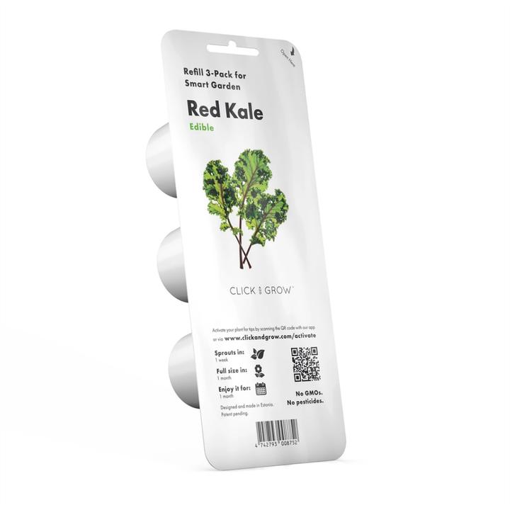 Actual product image Click and Grow Red cabbage (Vegetable seeds)