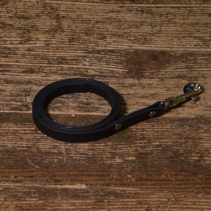 Actual product image Dogsmart BioThane leash (Dog, General)