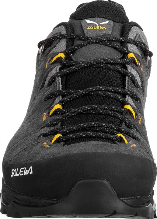 Image du produit Salewa Alp Trainer 2 GTX (43)
