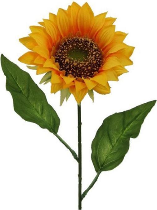 Actual product image Gasper Sonnenblume (66 cm)