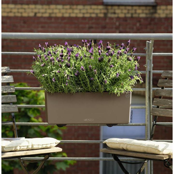 Productafbeelding Lechuza Balconera Kleur (50 x 19 x 19 cm)