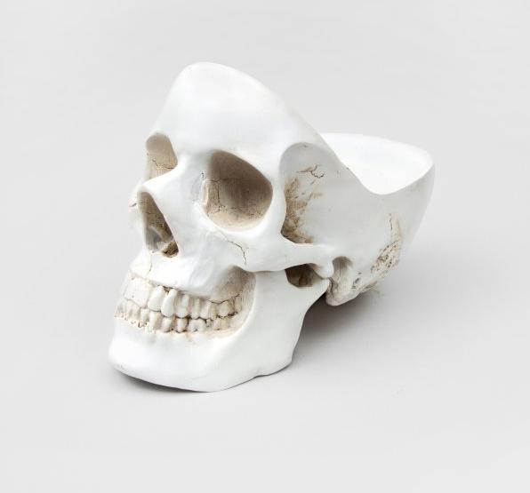 Immagine prodotto Suck UK Cranio ordinato