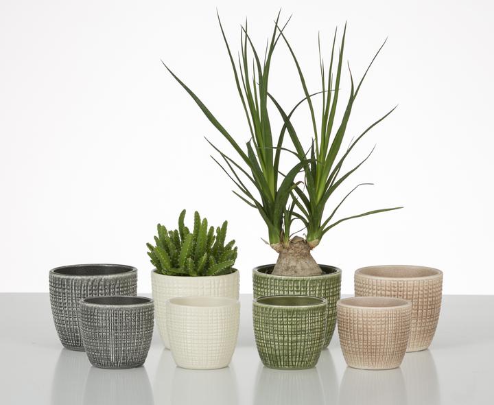 Produktbild Scheurich Blumentopf Grau Ø 25.5 cm (25.50 x 22.10 cm)