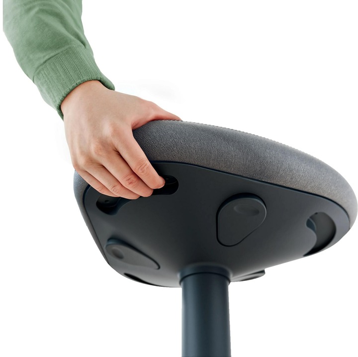 Image du produit Leitz Ergo Active