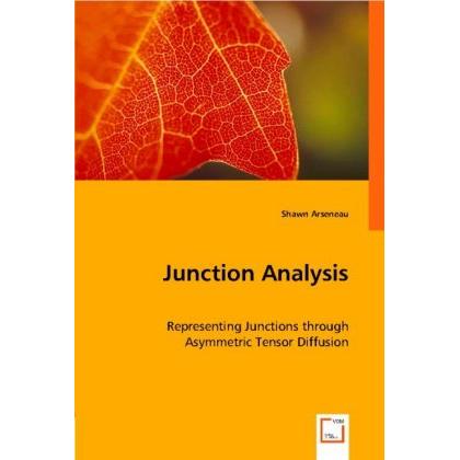 Junction Analysis, Fachbücher