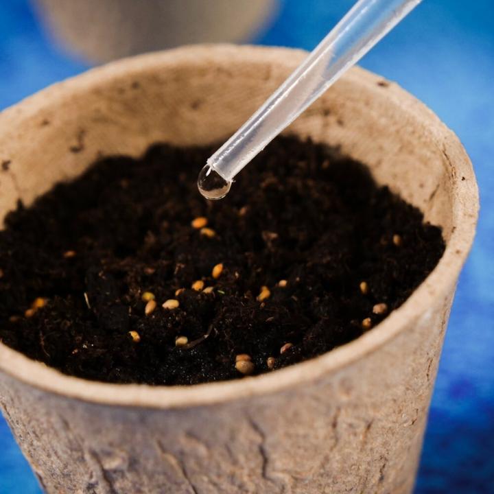 Produktbild Lisciani Wissenschaftsset Ich bin ein Genie. Wissenschaft zu Hause – Botanik