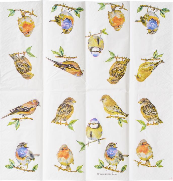 Image du produit Ambiente Mouchoirs en papier "Birds (10x)