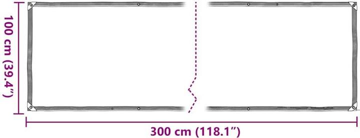 Produktbild vidaXL Transparente Plane mit Ösen 1x3 m Polyethylen durchsichtige Plane (100 x 300 cm)