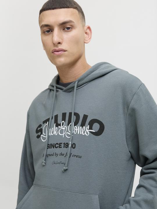 Produktbild Jack & Jones Gedruckt Kapuzenpullover Kapuzenpullover (M)
