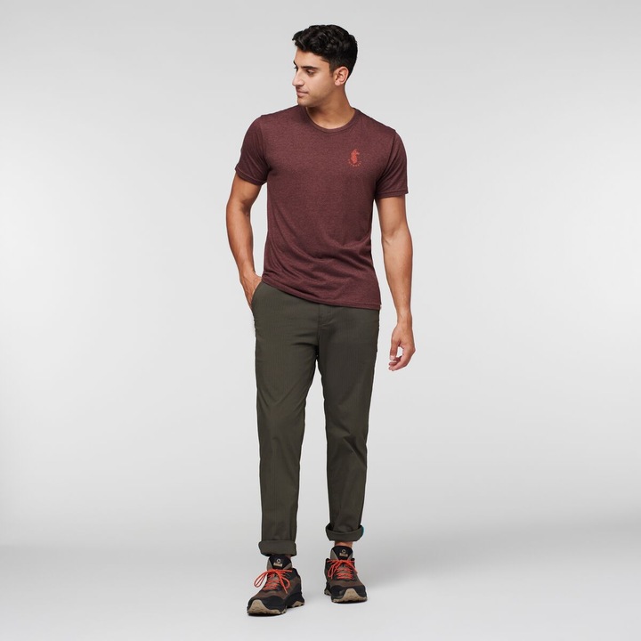 Actual product image Cotopaxi Salto Ripstop Pant (XL)
