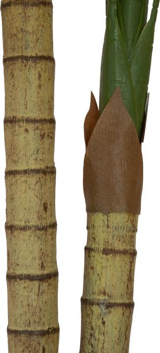 Produktbild Europalms Areca Palme (120 cm)