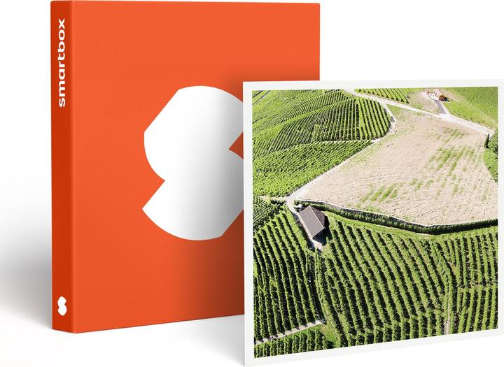 Actual product image Smartbox Wine tasting and visit to the Lavaux cave (2 Persons)