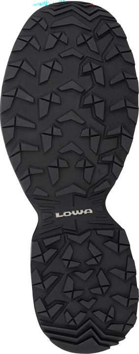 Produktbild Lowa Innox Evo II GTX LO (41)