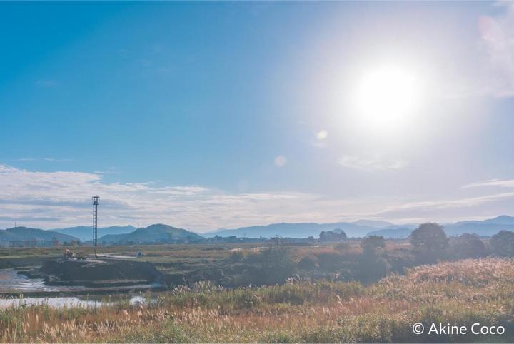 Actual product image Kenko 77.0 Nostaltone Blue (77 mm, Effect filter, 77 mm)