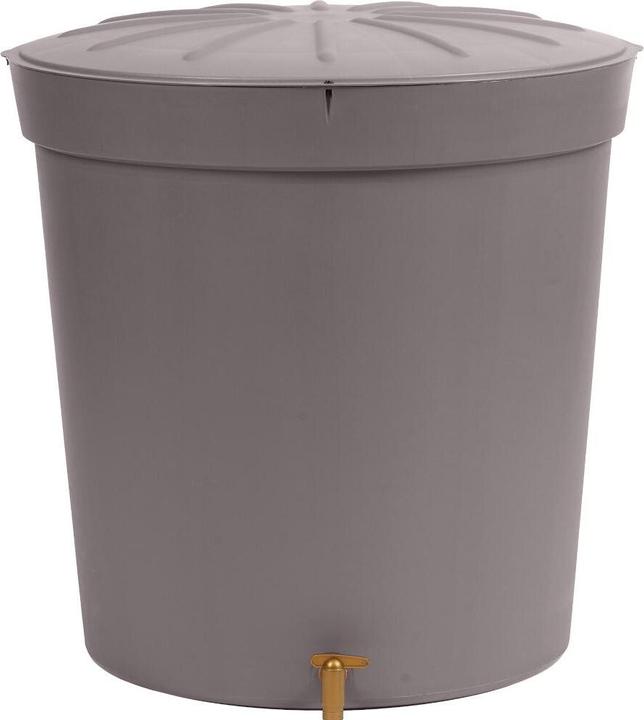 Graf Lanzarote (300 l)