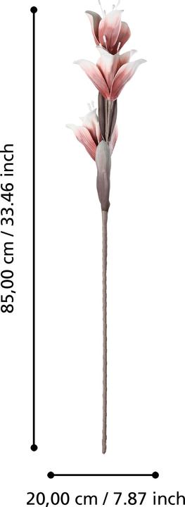 Produktbild EGLO LIVING Molave (85 cm)