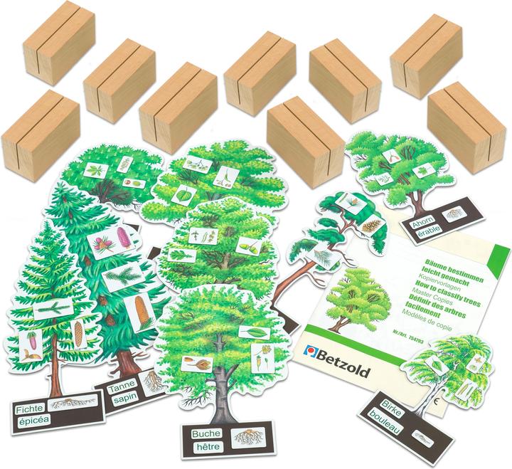 Produktbild Betzold Bäume bestimmen leicht gemacht mit Holzaufstellern (Deutsch)