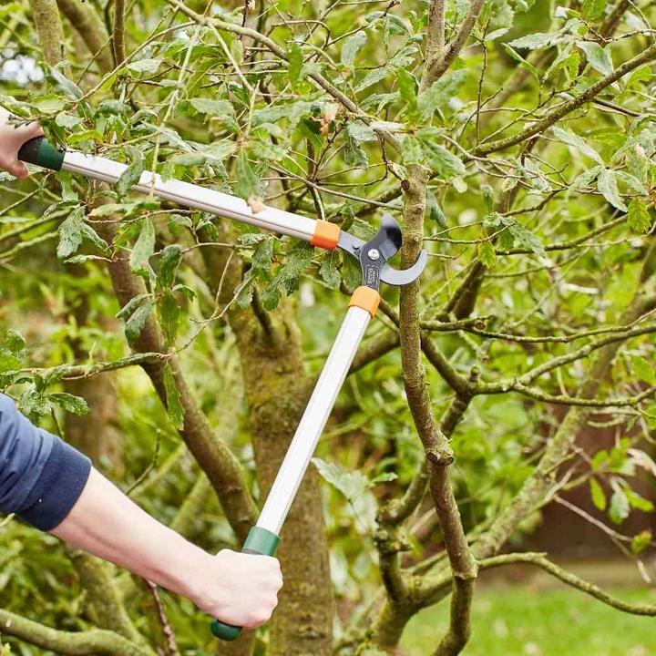 Produktbild Siena Garden Baumschere