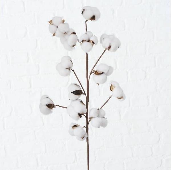 Produktbild Boltze Home Baumwolle (68 cm)