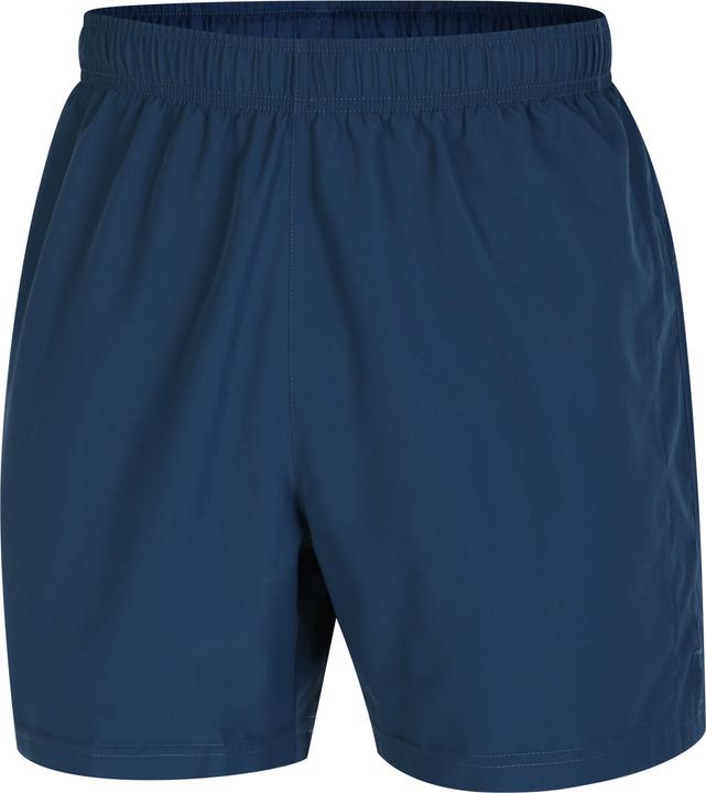 Actual product image Dare2b Mens Surrect Lightweight Shorts (L)