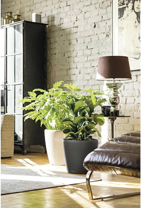 Produktbild Lechuza Classico (36 cm)